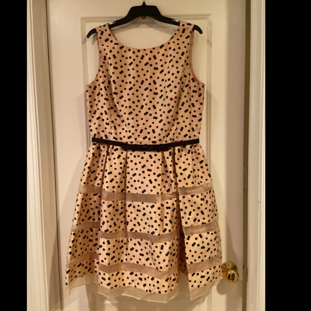 Champagne dots silk Taylor party dress 14